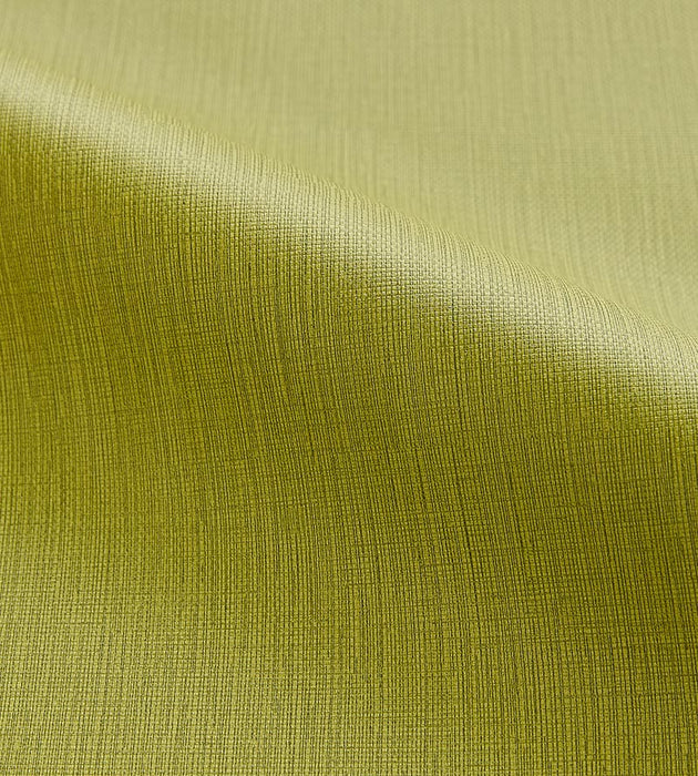 Scalamandre Lauren Leek Fabric SC 001127264