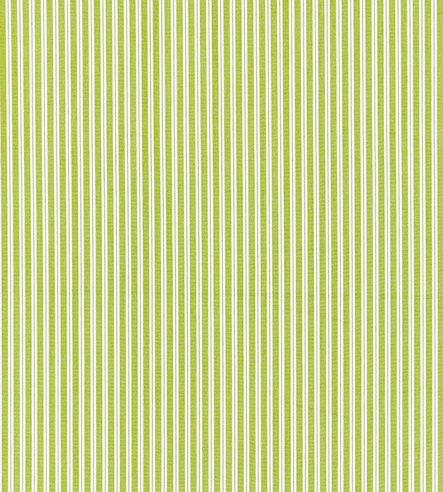 Scalamandre Kent Stripe Pear Fabric SC 001236395