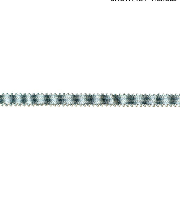 Scalamandre Lancaster Gimp Aqua Trim Sample SC 0012V658