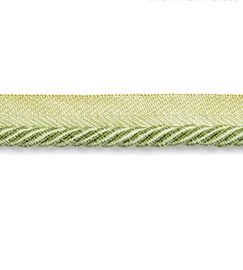 Scalamandre Boulevard Cord Spring Trim Sample SC 0015C314