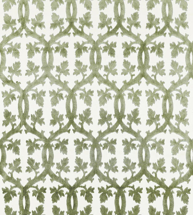 Scalamandre Falk Manor House Green Tea Fabric SC 001626690M