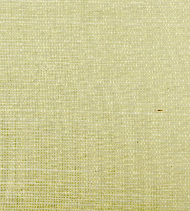 Scalamandre Sisal Spring Wallpaper Sample SC 0017G1193