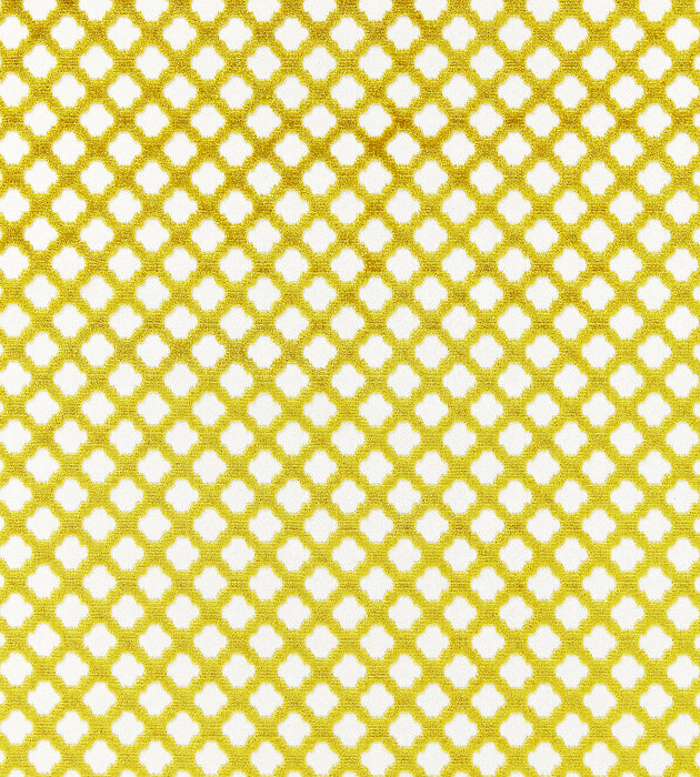 Scalamandre Pomfret Chartreuse Fabric SC 002026692M