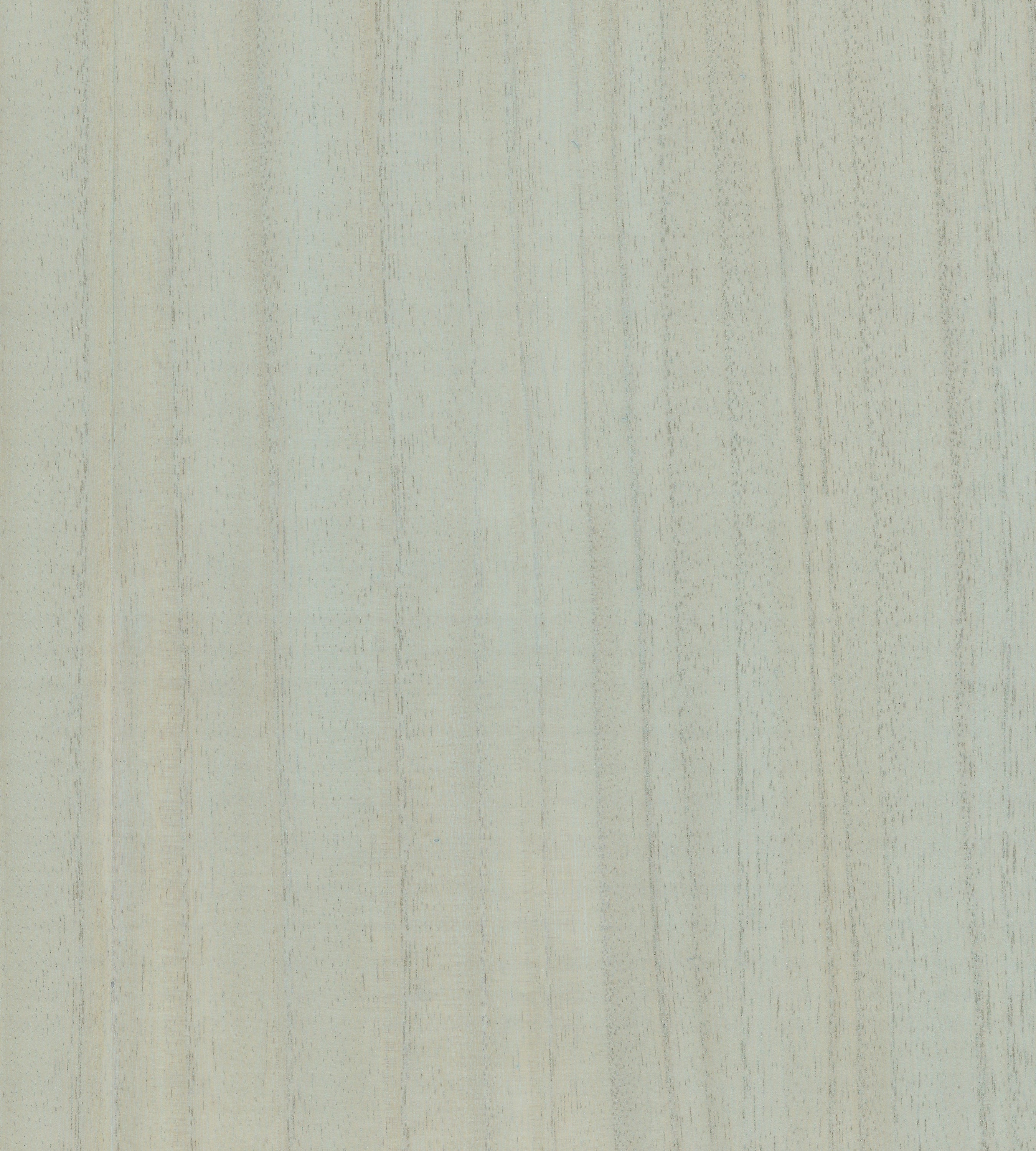 Scalamandre Woodgrain Willow Wallcovering Sample SC 0020WP88478