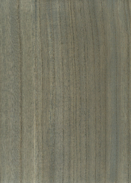 Scalamandre Woodgrain Beach Glass Wallpaper Sample SC 0022WP88478