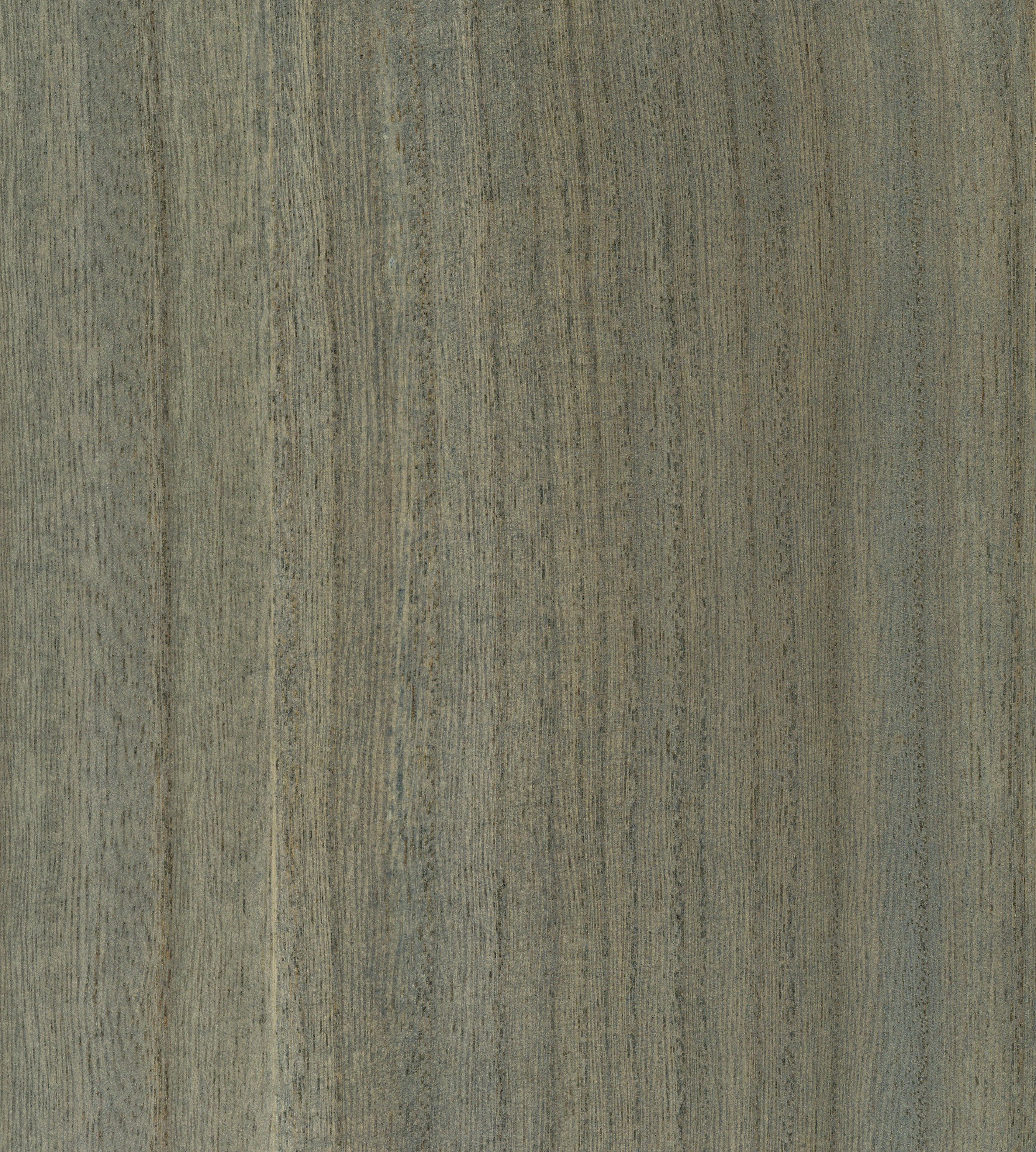 Scalamandre Woodgrain Beach Glass Wallcovering Sample SC 0022WP88478