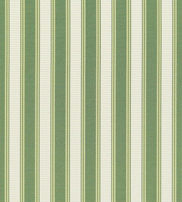 Scalamandre Shirred Stripe Bonsai Fabric SC 0030121M