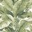 Scalamandre Paradisio Palm Green Wallpaper SC 0104DISO