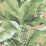 Scalamandre Paradisio Palm Aruba Multi Wallpaper SC 0124DISO