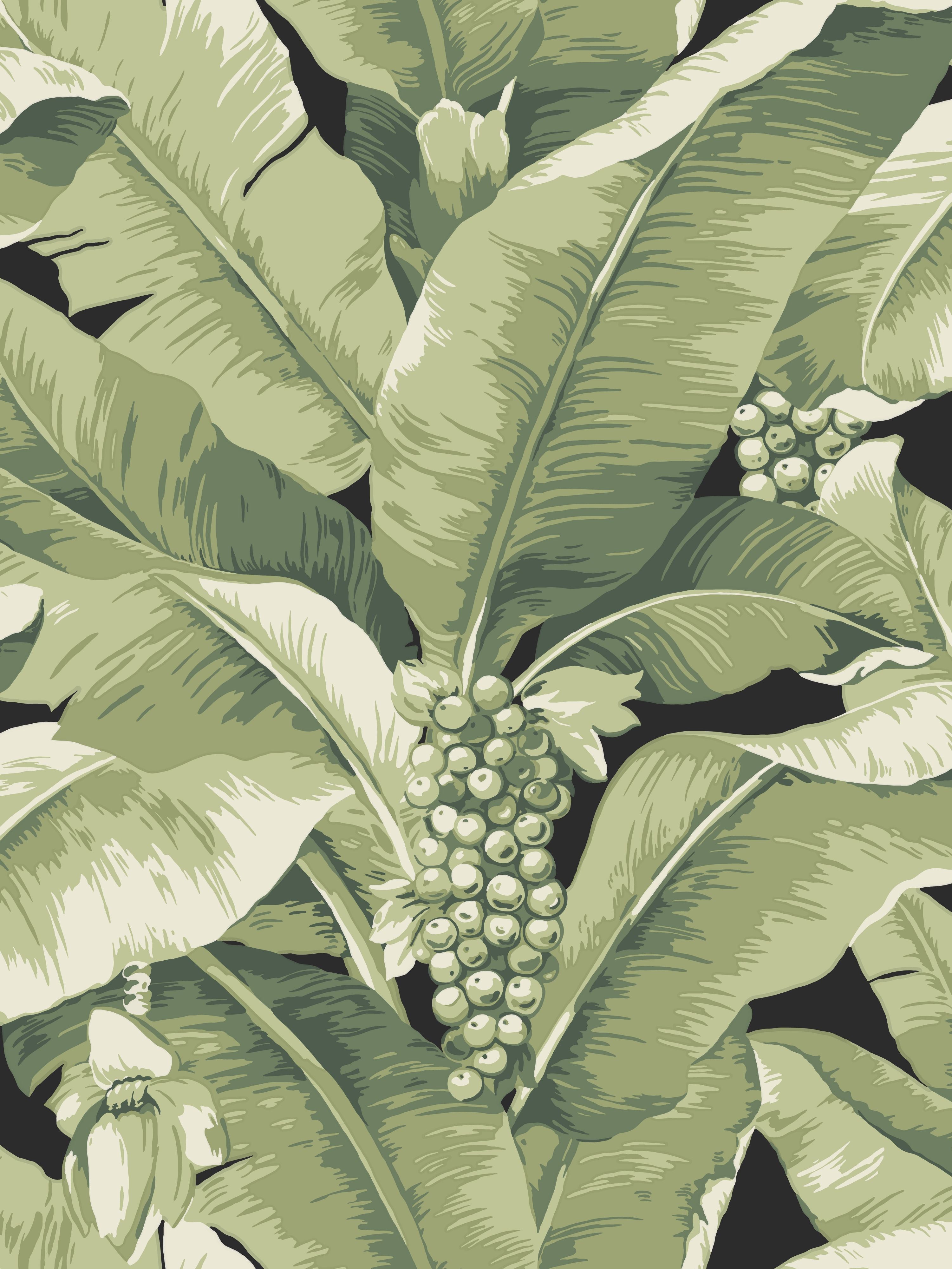 Scalamandre Paradisio Palm Dark Jungle Wallpaper SC 0134DISO