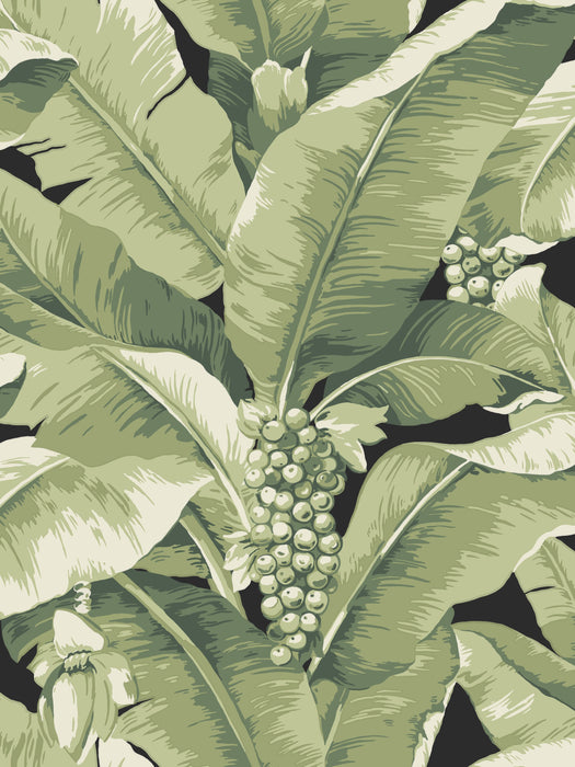 Scalamandre Paradisio Palm Dark Jungle Wallpaper SC 0134DISO