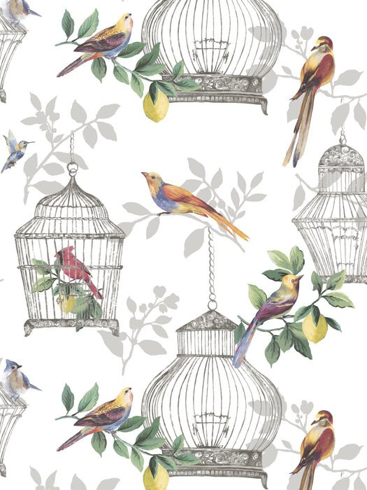 Scalamandre Audubon Songbirds On White Wallpaper Sample SC 1900AUDU