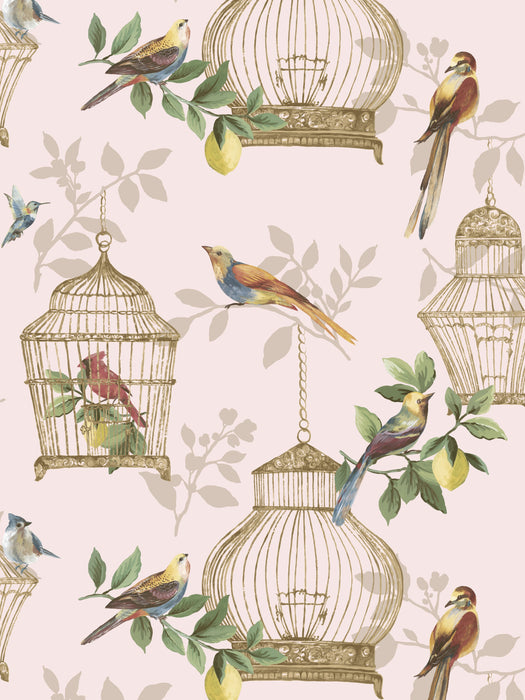 Scalamandre Audubon Songbirds On Rose Wallpaper SC 1901AUDU