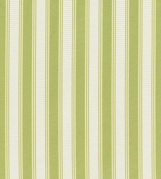 Scalamandre Shirred Stripe New Leaf Fabric SC 0031121M