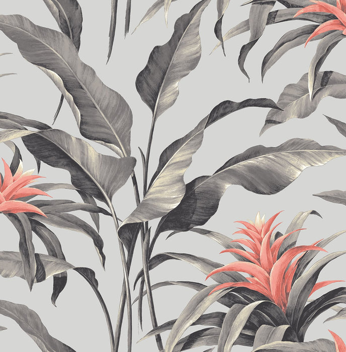 Seabrook Designs Palma Metallic Silver & Coral Wallpaper Sample SG10301