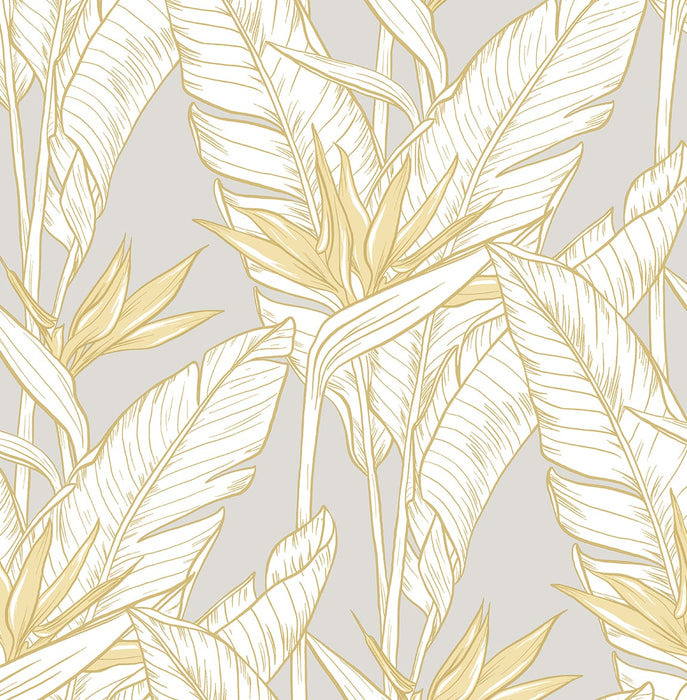 Seabrook Designs Birds Of Paradise Grey & Metallic Gold Wallpaper Sample SG11903