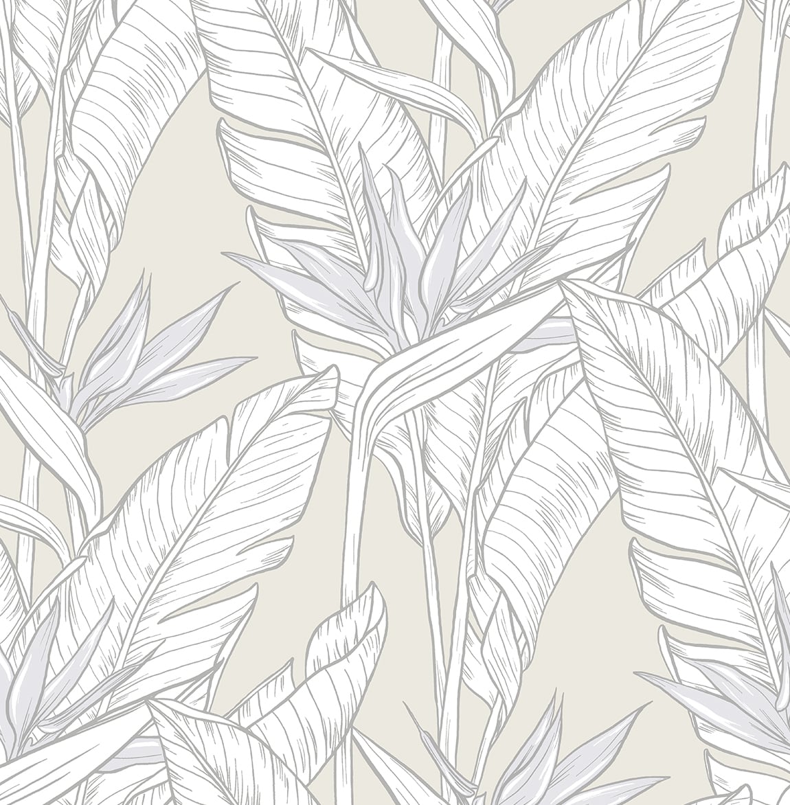 Seabrook Designs Birds Of Paradise Pearl Grey & Metallic Silver Wallpaper SG11905