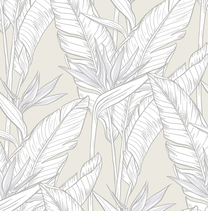 Seabrook Designs Birds Of Paradise Pearl Grey & Metallic Silver Wallpaper Sample SG11905