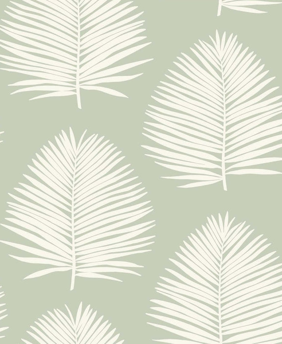 Seabrook Designs Island Palm Celadon Wallpaper Sample SL80704