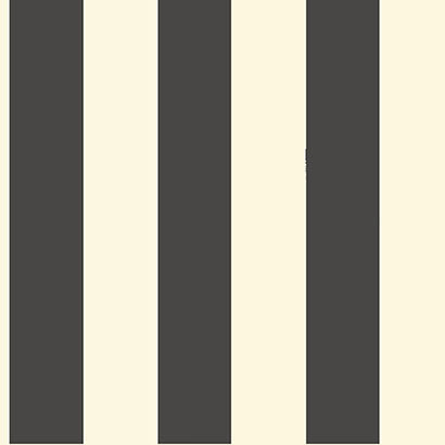 Magnolia Home Awning Stripe Black & White Sample ST5691MH