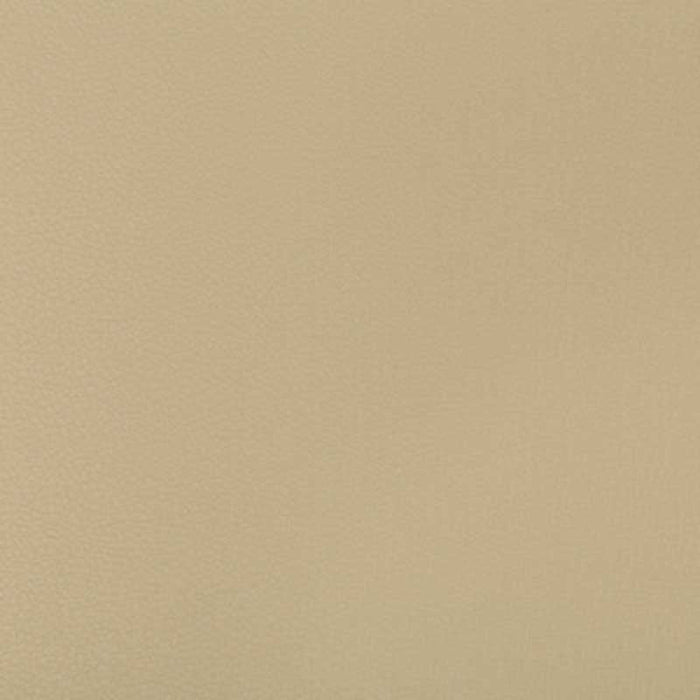 Kravet Contract Syrus Stucco Fabric Sample SYRUS.1616.0