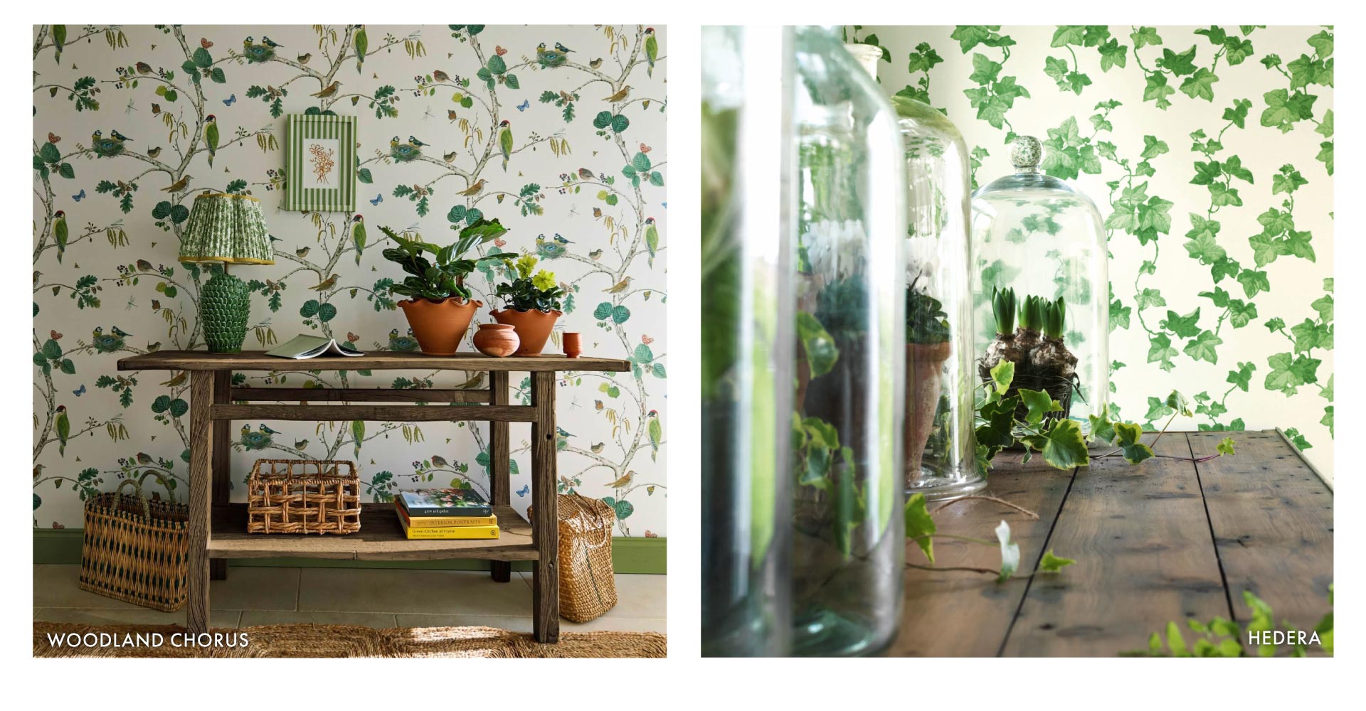 Sanderson Woodland and Chorus wallpaper and hedra green botanical wallpaper