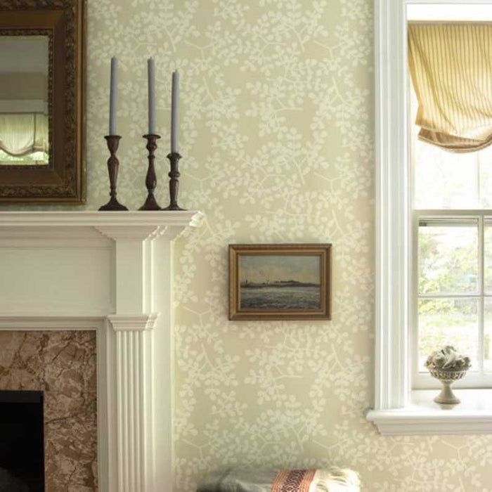 Galbraith & Paul Smokebush Stucco Wallpaper Sample