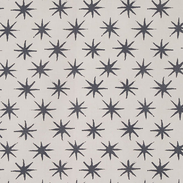 Peter Dunham Starstruck - Outdoor Charcoal Fabric Sample 139STS01