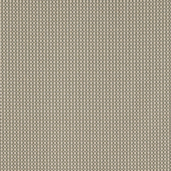 Peter Dunham Susa Green On Natural Fabric Sample 131SUS03