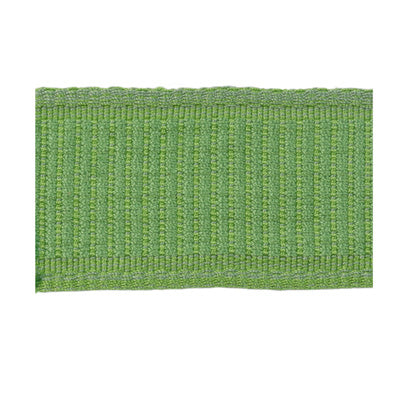 Brunschwig & Fils Coeur Band Spring Trim Sample T8012107.3.0