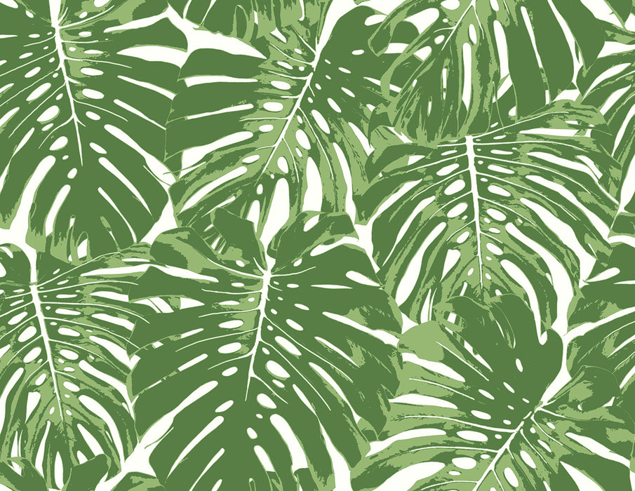 Seabrook Designs Jamaica Basil Green And White Wallpaper Sample TA20004