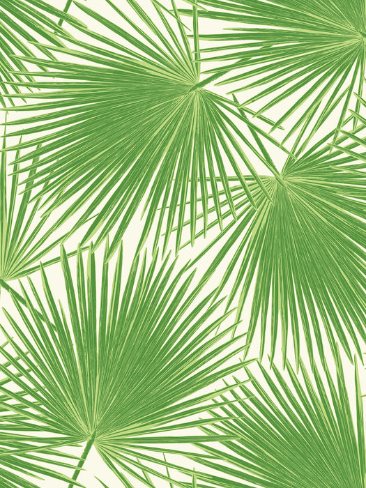 Seabrook Designs Aruba Fern Green And White Wallpaper Sample TA20204