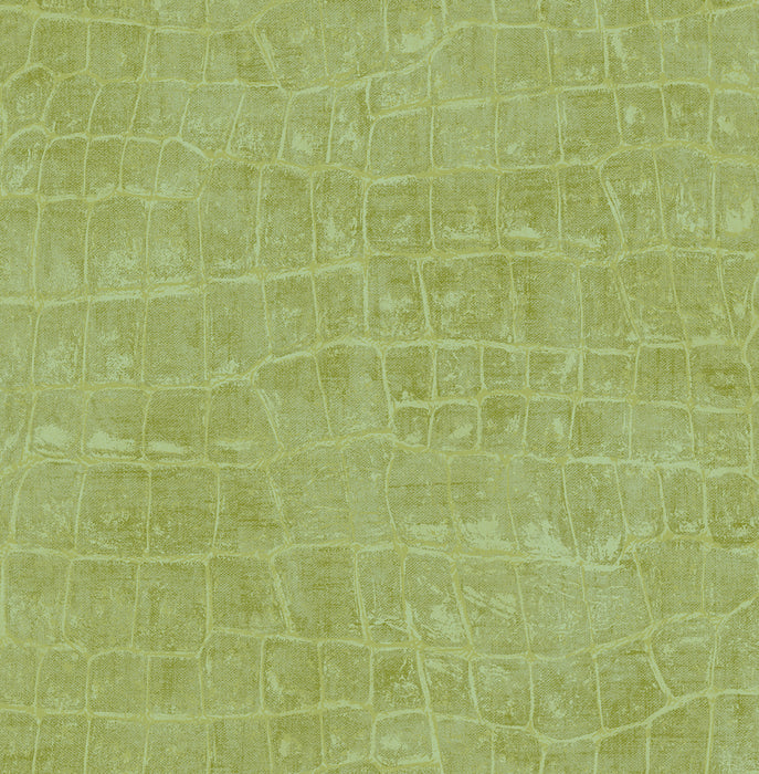 Seabrook Designs Curacao Apple Green  Wallpaper Sample TA20504