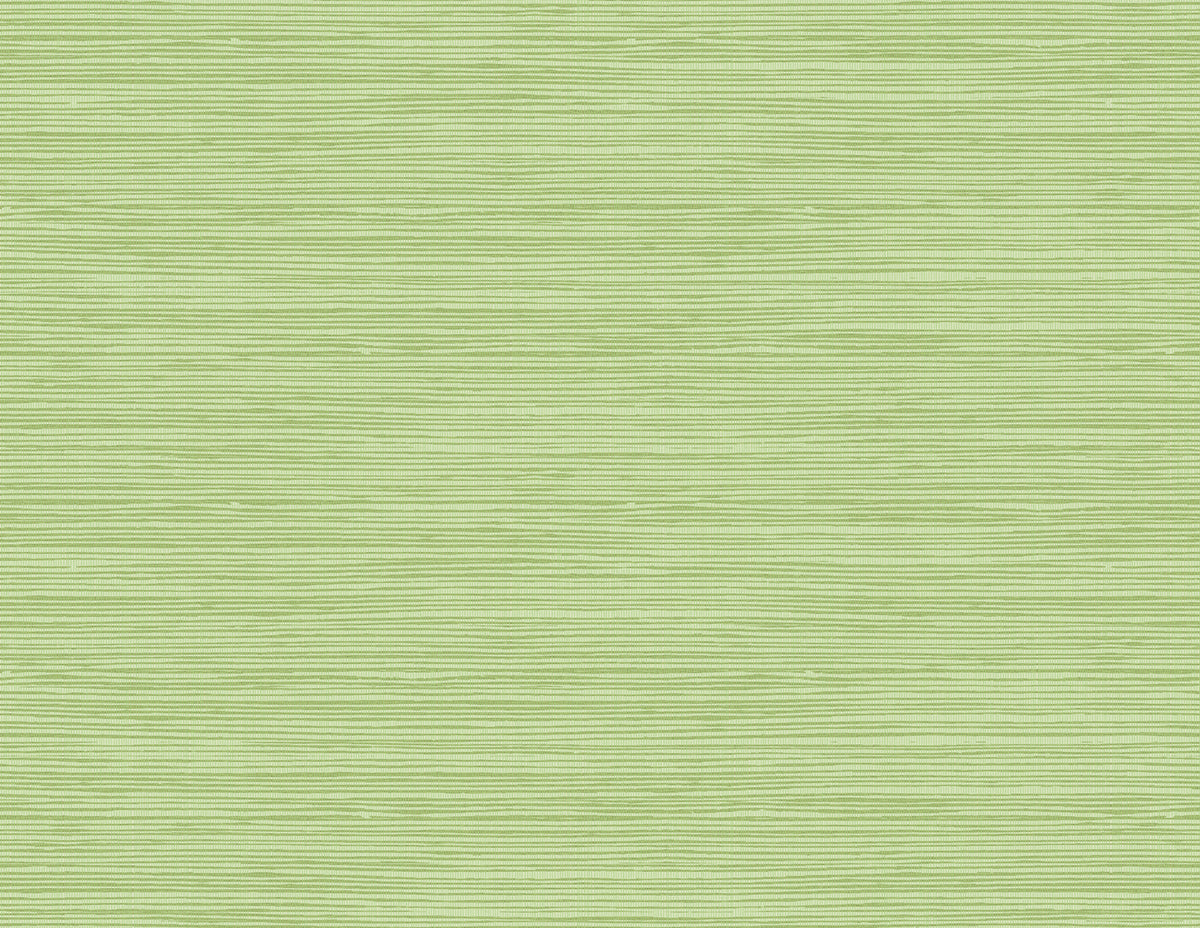 Seabrook Designs Jamaica Grass Olive Green Wallpaper TA21704