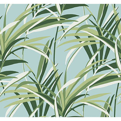 York Tropical Paradise Green & Light Blue Wallpaper TC2603