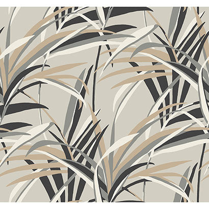 York Tropical Paradise Taupe Wallpaper TC2604