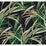 York Tropical Paradise Green & Black Wallpaper TC2606