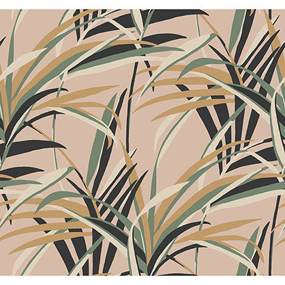 York Tropical Paradise Blush Wallpaper TC2608