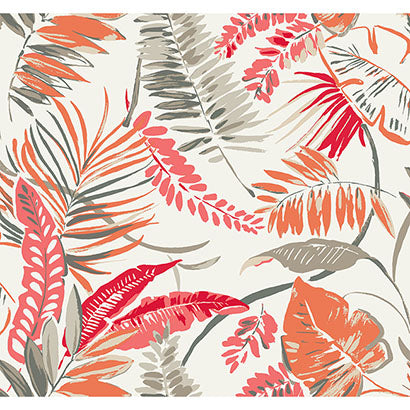 York Tropical Toss Coral & Beige Wallpaper TC2627