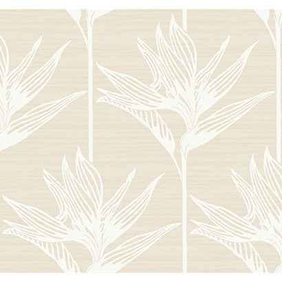 York Bird Of Paradise White Wallpaper TC2672