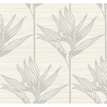 York Bird of Paradise Grey Wallpaper TC2673