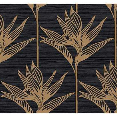 York Bird of Paradise Black & Gold Wallpaper TC2674