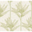 York Bird of Paradise Green Wallpaper TC2675