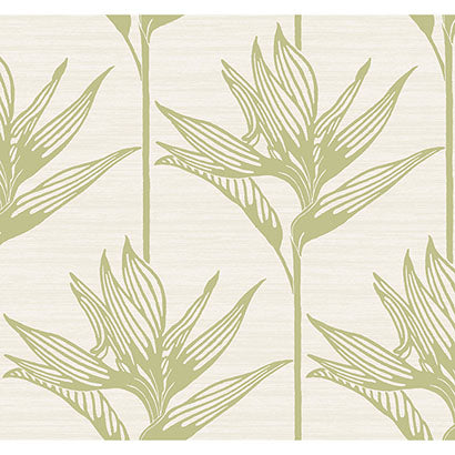 York Bird of Paradise Green Wallpaper TC2675