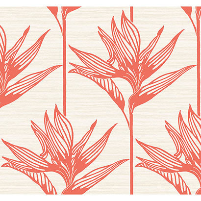 York Bird of Paradise Coral Wallpaper TC2676