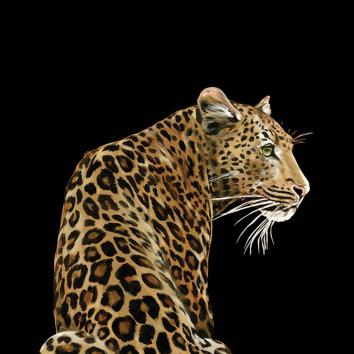 Seabrook Designs Leopardo Solo Mural Alessio Wallpaper Sample TCW001TCAI5UL005