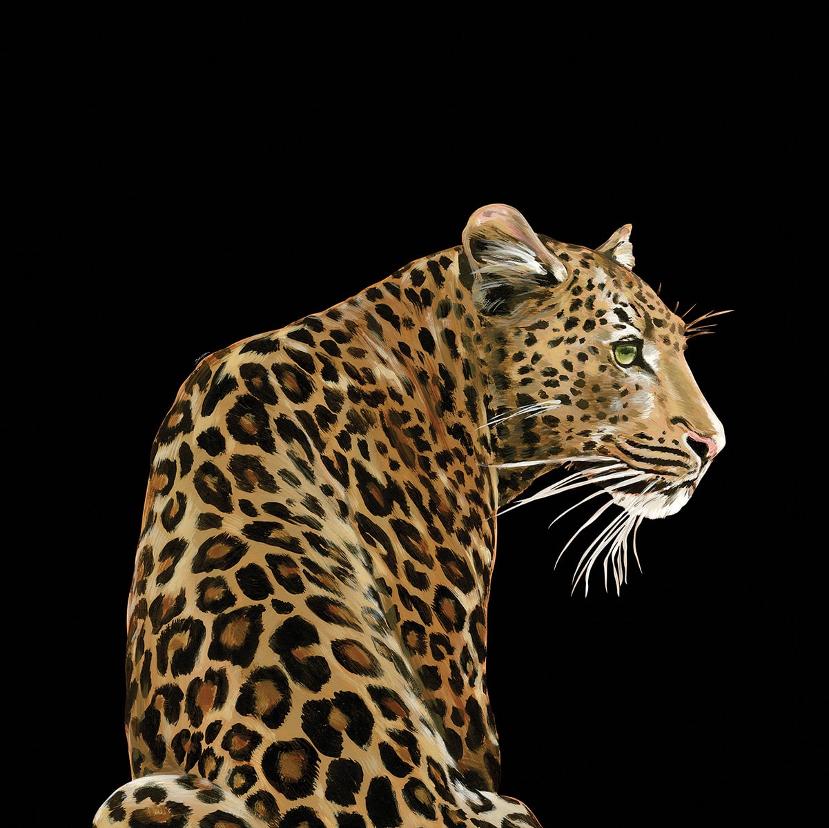 Seabrook Designs Leopardo Solo Mural Alessio Wallpaper TCW001TCAI5UL005