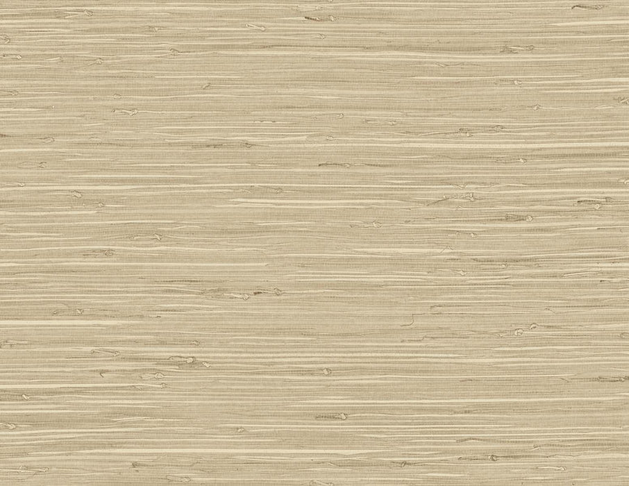 Seabrook Designs Marion Faux Arrowroot Chestnut Wallpaper Sample TG60516