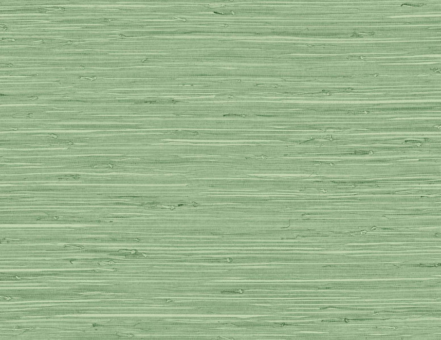 Seabrook Designs Marion Faux Arrowroot Spring Forest Wallpaper Sample TG60534