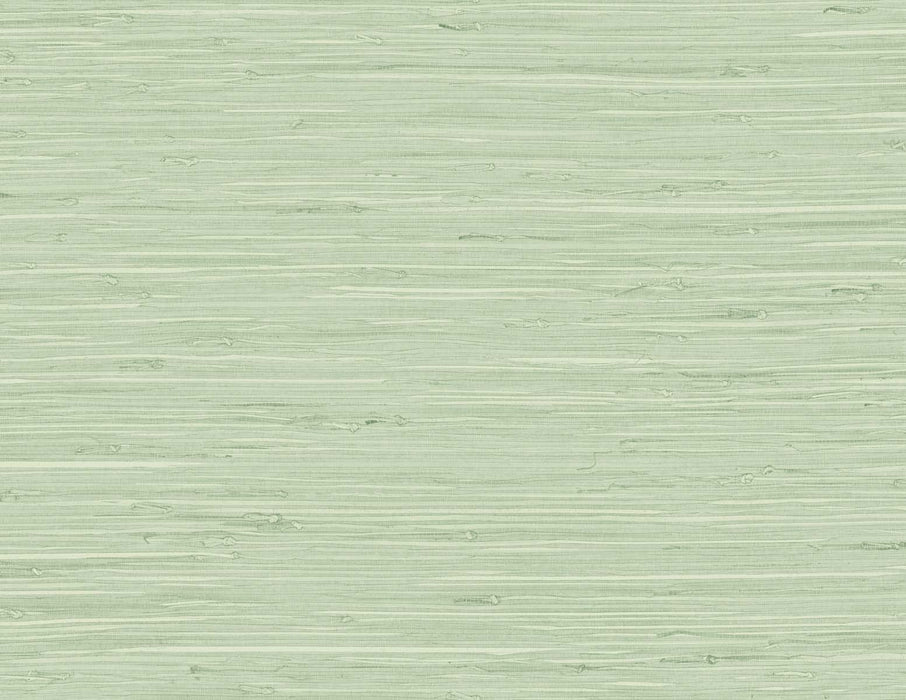 Seabrook Designs Marion Faux Arrowroot Frosted Grass Wallpaper Sample TG60535